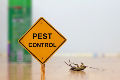 Pest Contol in Mitcham, Mitcham Common, Pollards Hill, CR4. Call Now 020 8166 9746