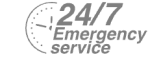 24/7 Emergency Service Pest Control in Mitcham, Mitcham Common, Pollards Hill, CR4. Call Now! 020 8166 9746