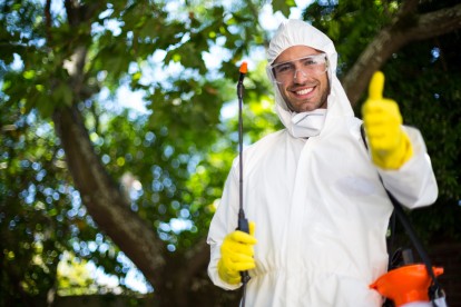 Bug Control, Pest Control in Mitcham, Mitcham Common, Pollards Hill, CR4. Call Now 020 8166 9746
